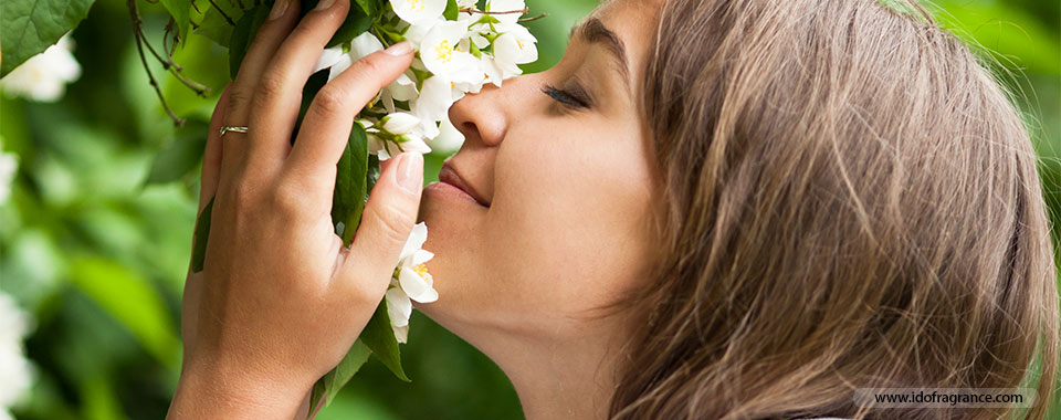 ความหอมที่แตกต่างของมวลดอกไม้..เลือกกลิ่นไหนให้เหมาะกับคุณ