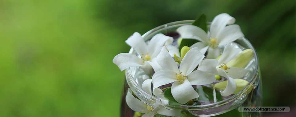 เคล็ดลับการเก็บดอกไม้ไทยอย่างไรให้ได้กลิ่นหอมแบบยาวนาน??