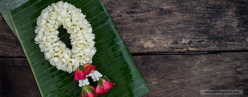 The-aroma-of-jasmine-jasmine-on-Mother's-Day-01 กลิ่นหอมๆ ของพวงมาลัยดอกมะลิในวันแม่