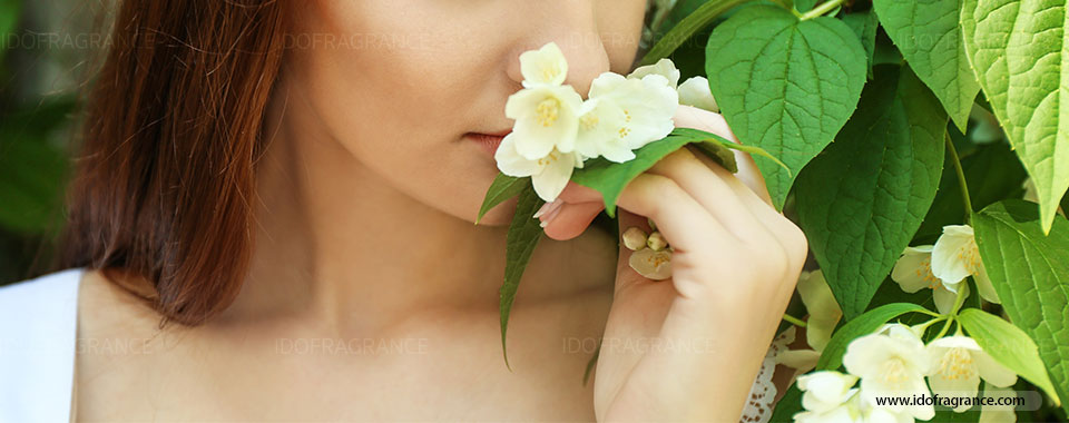 พลังกลิ่นหอมของดอกไม้หลากสไตล์เพิ่มความสุข